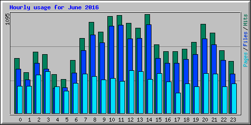 Hourly usage for June 2016
